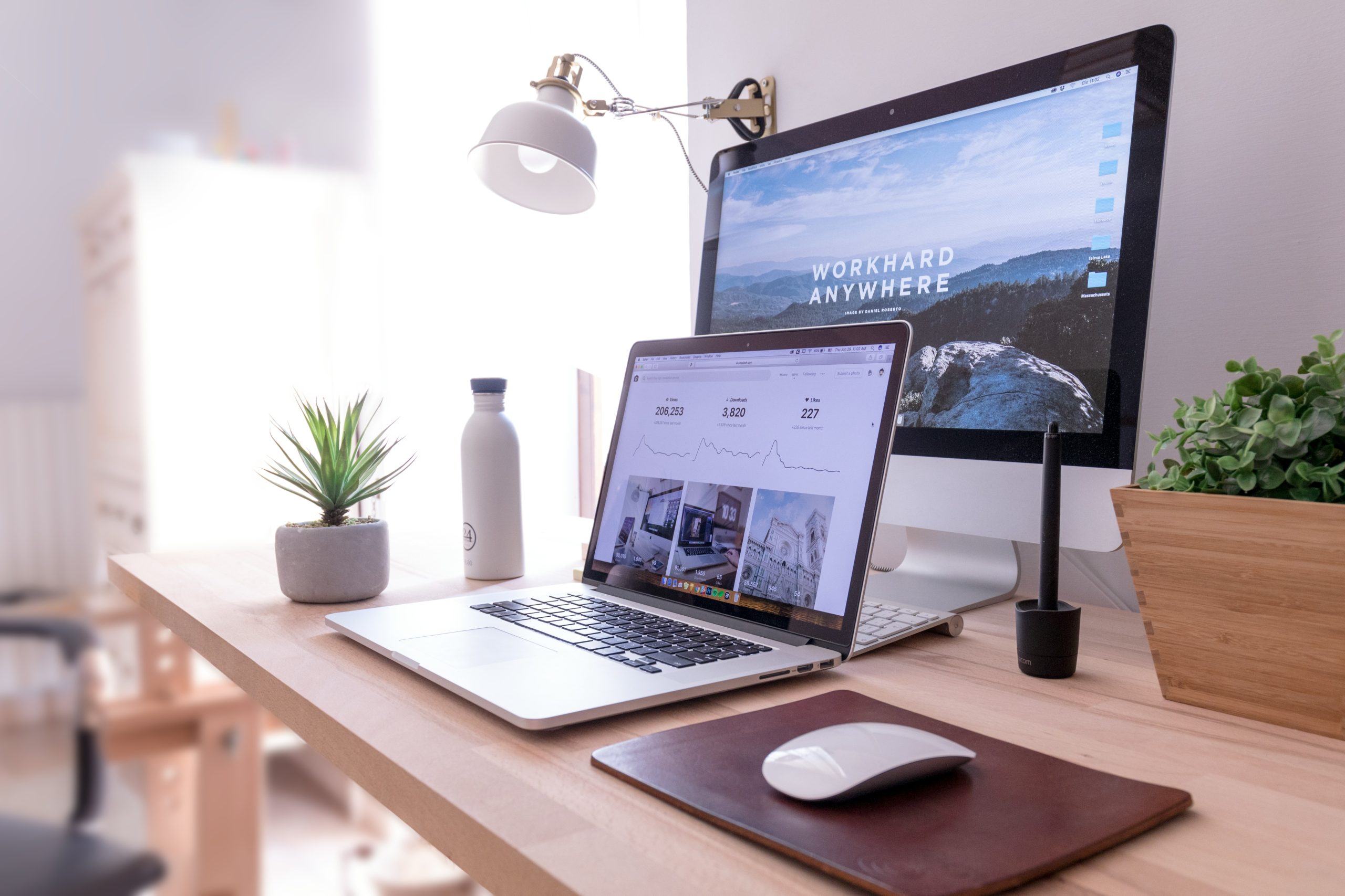 website search and SEO