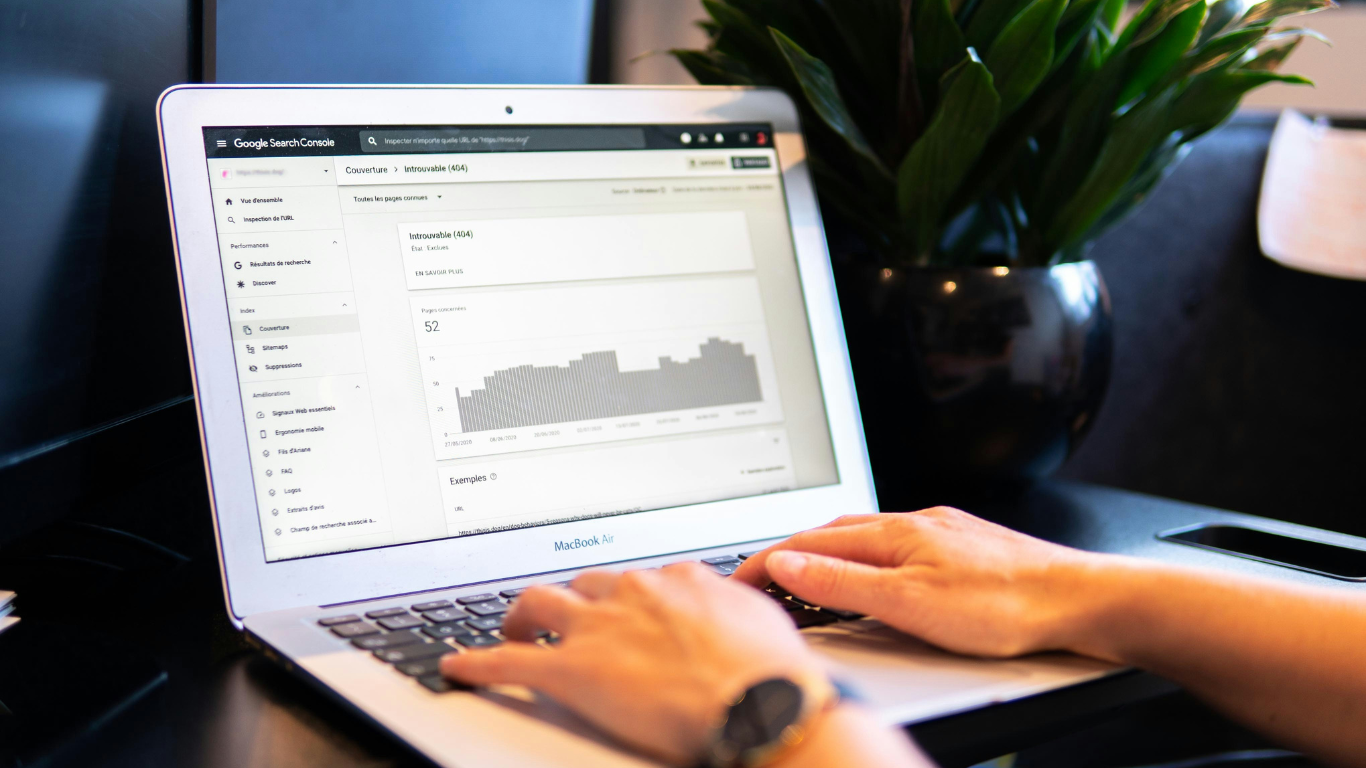google search organic seo